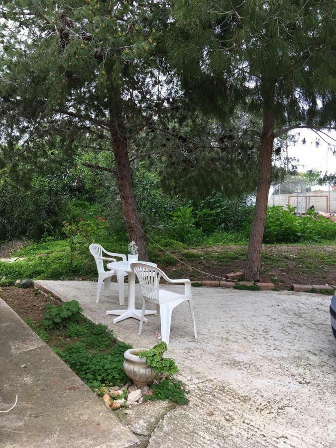 Detached Cozy Studio Paralimni Exteriér fotografie