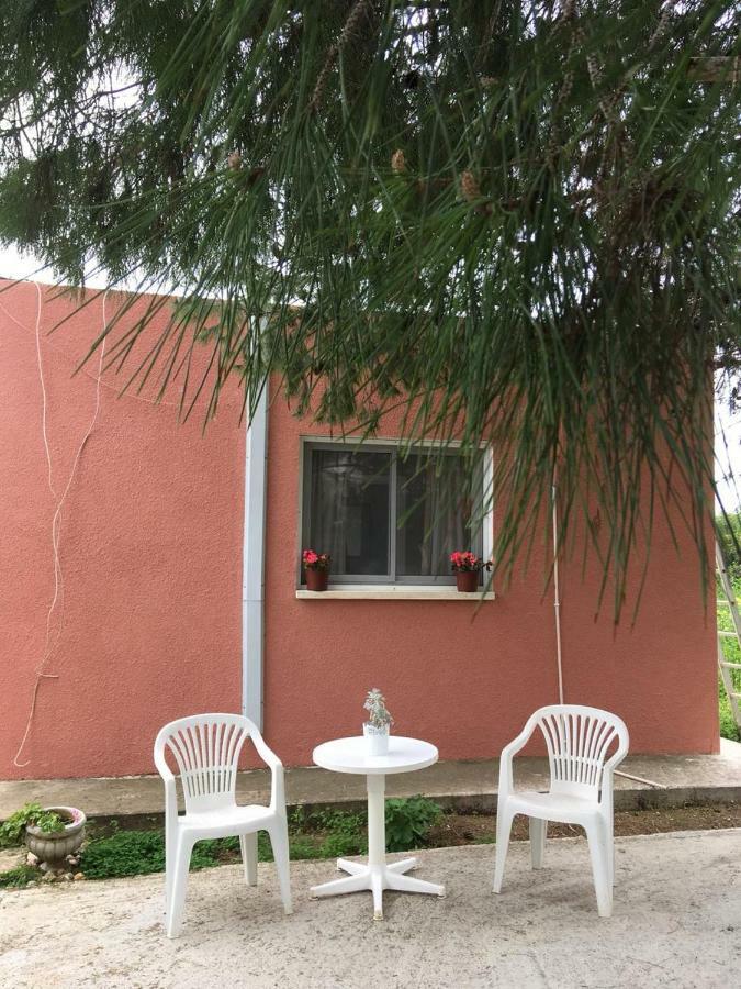 Detached Cozy Studio Paralimni Exteriér fotografie